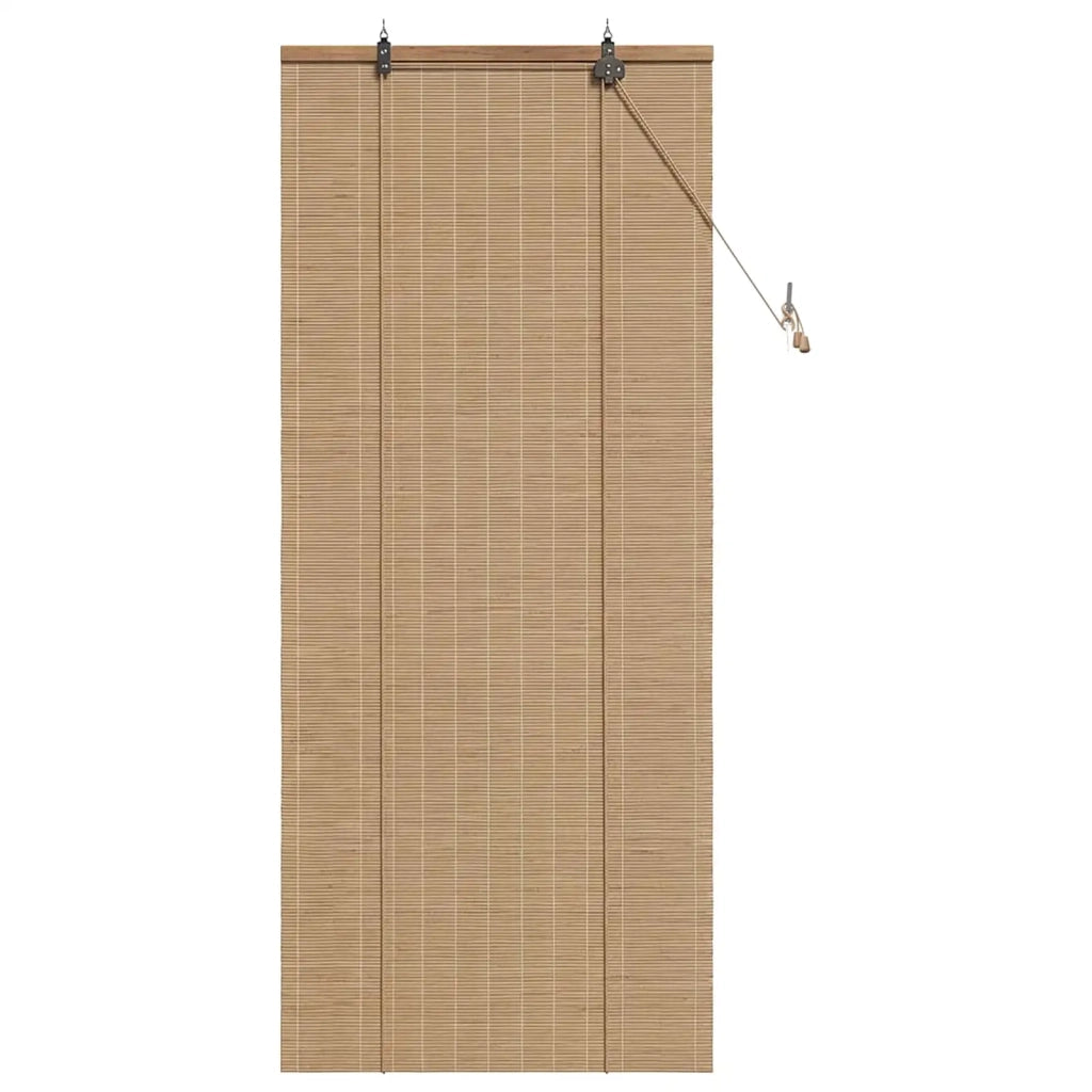 Tenda a rullo Marrone 50 x 160 cm Bambù 42039740
