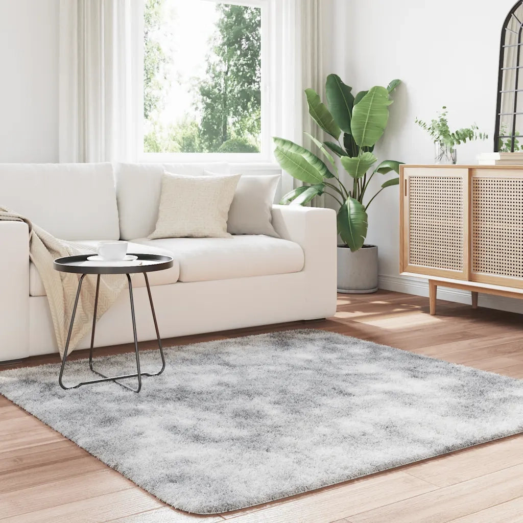 Tappeto del soggiorno | Tappeto Shaggy a Pelo Lungo NAVARRA Grigio Argento 160x160cm