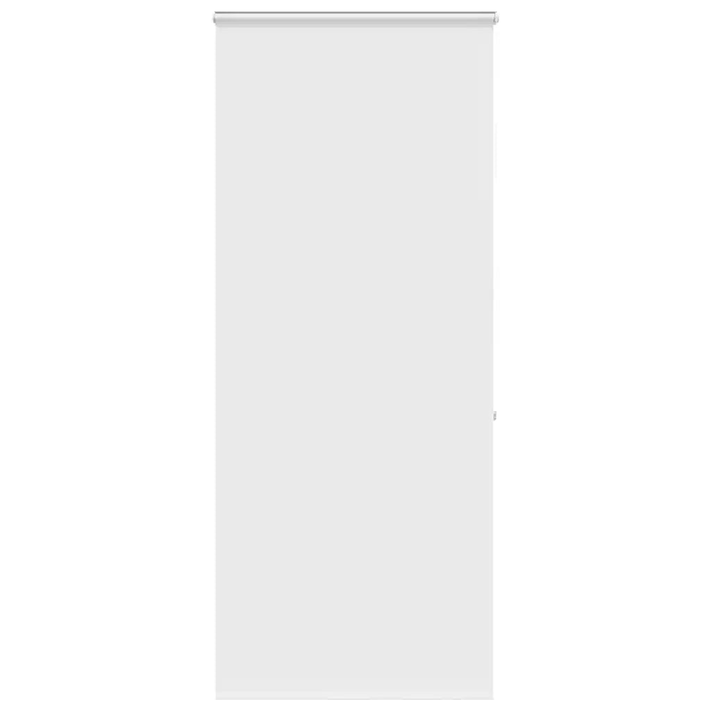 Tenda a Rullo Doccia con Cassonetto 100x240cm Larghezza Tessuto