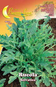 SEMI ORTO RUCOLA SELVATICA- HORTUS SEMENTI- 10,0 pz