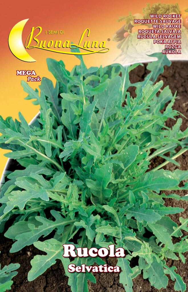 SEMI ORTO RUCOLA SELVATICA- HORTUS SEMENTI- 10,0 pz