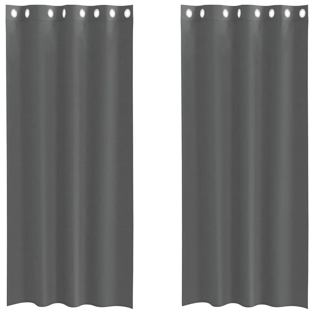 Tende in Voile con Occhielli 2 pz Grigio Scuro 140x245 cm