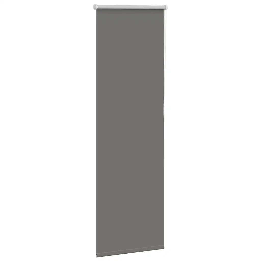 Tenda a Rullo Oscurante 55x130 cm Larghezza Tessuto 50,7 cm 4011093