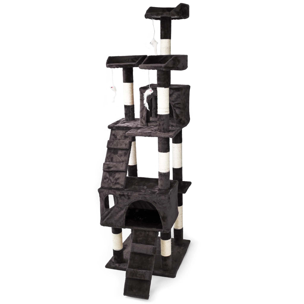 Albero tiragraffi nero 170 cm con piattaforme, cuccette e scale