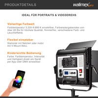 Rainbow Pannello LED fotografia 100W - Luce fotografica da studio con cambio colore RGBWW, illuminazione controllo tramite app, luce video bicolore