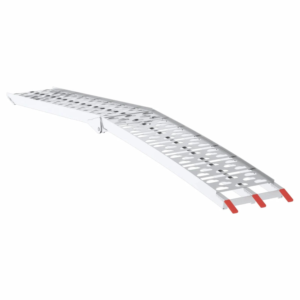 Rampe per Moto Pieghevoli 340 kg per rampa 2 pz Argento CFW3421700