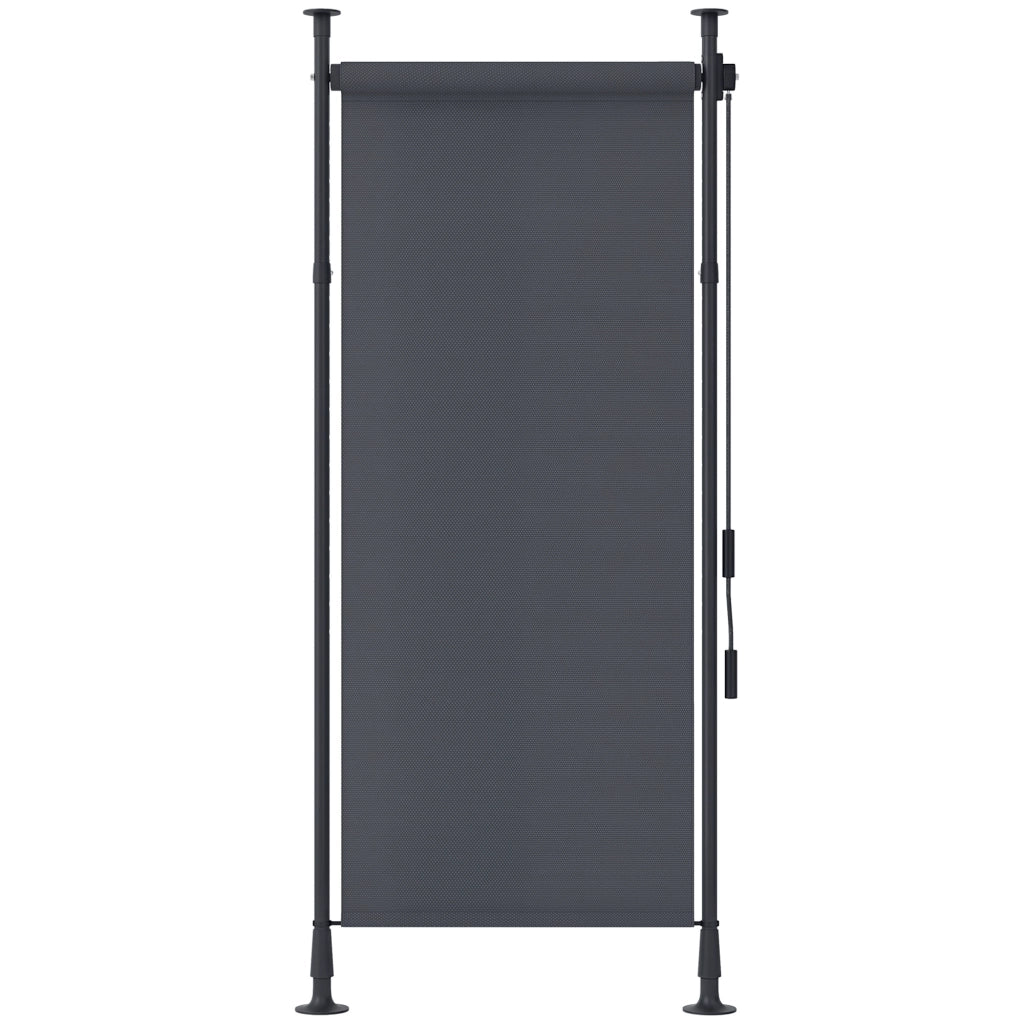 Tenda da sole esterna regolabile ¨C zephmum ¨C alluminio 120x220-310cm grigio scuro