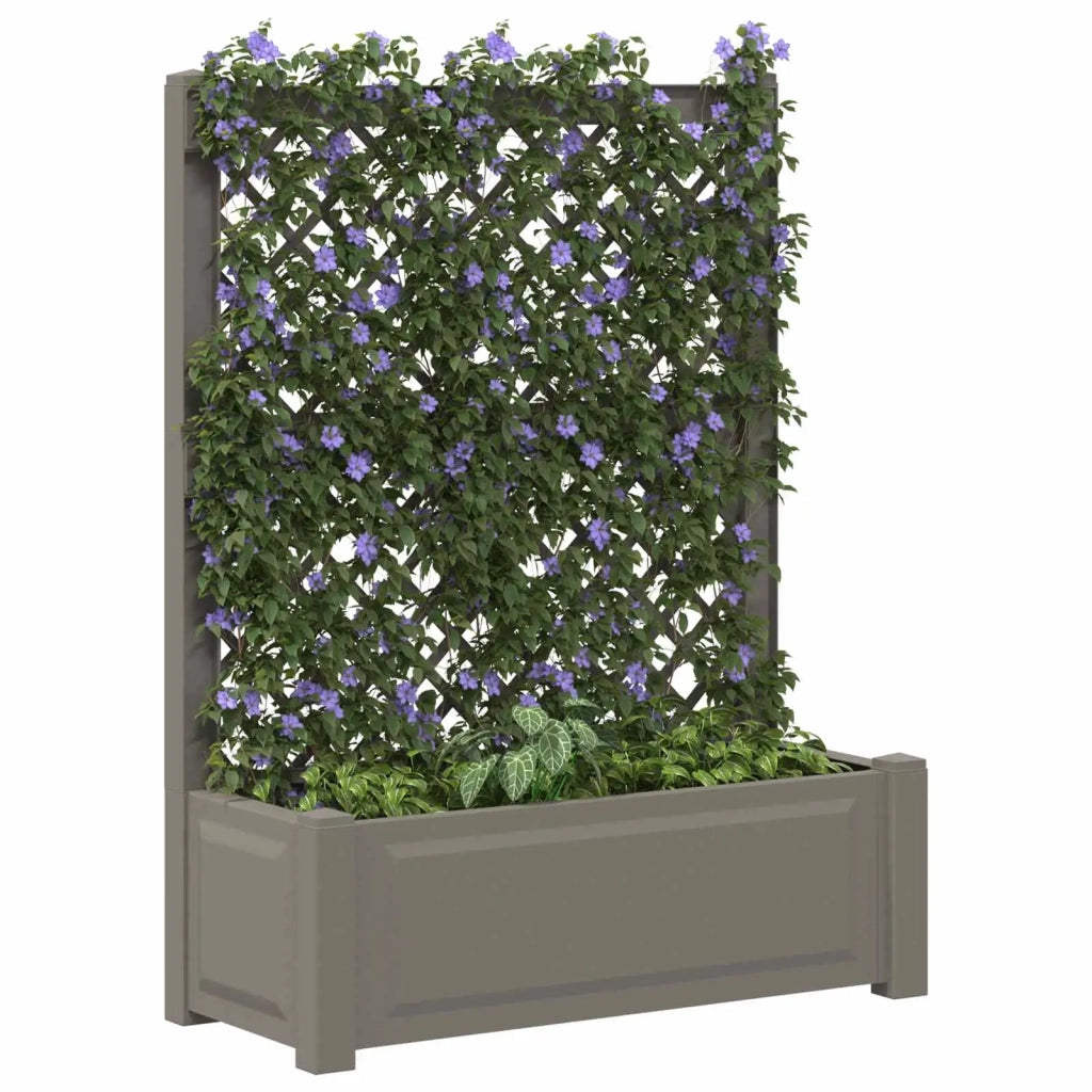 Vaso Grande con Direzione Grigio 99,5 x 43 x 133,5 cm PP CFW9695166