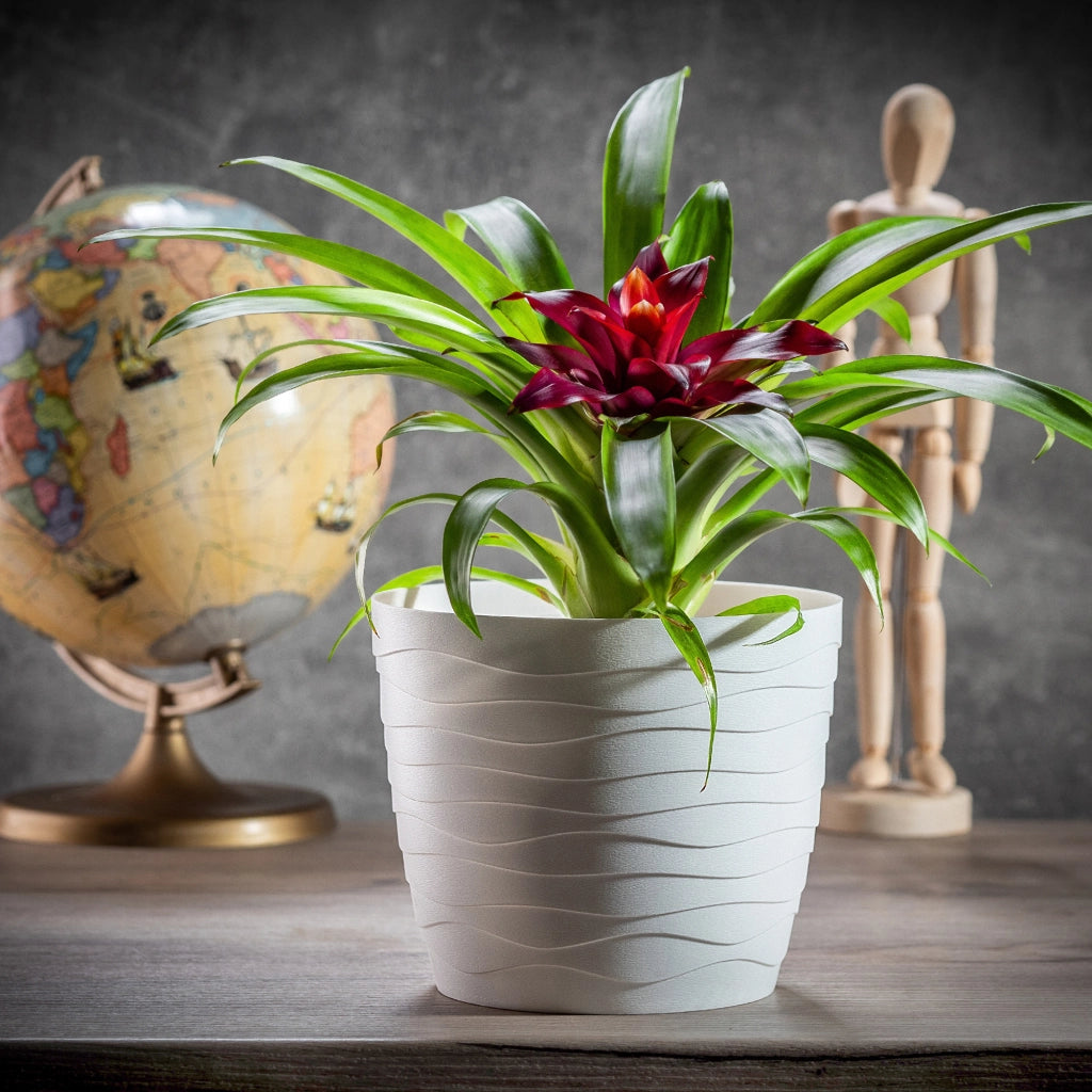 Vaso da fiori KADAX in plastica, rotondo, bianco, 17 cm, per fiori e piante.