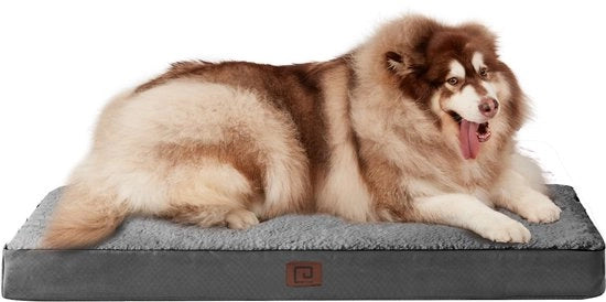 Honden letto XXL per grandi cani 127x91x10cm, materasso per cani lavabile, cuscino morbido per cani da sistemare in un divano, colore grigio