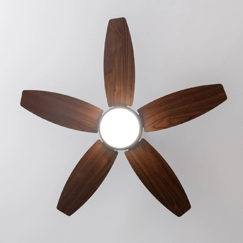 CECOTEC 08548 - EnergySilence Aero 4200 Black&DarkWood
