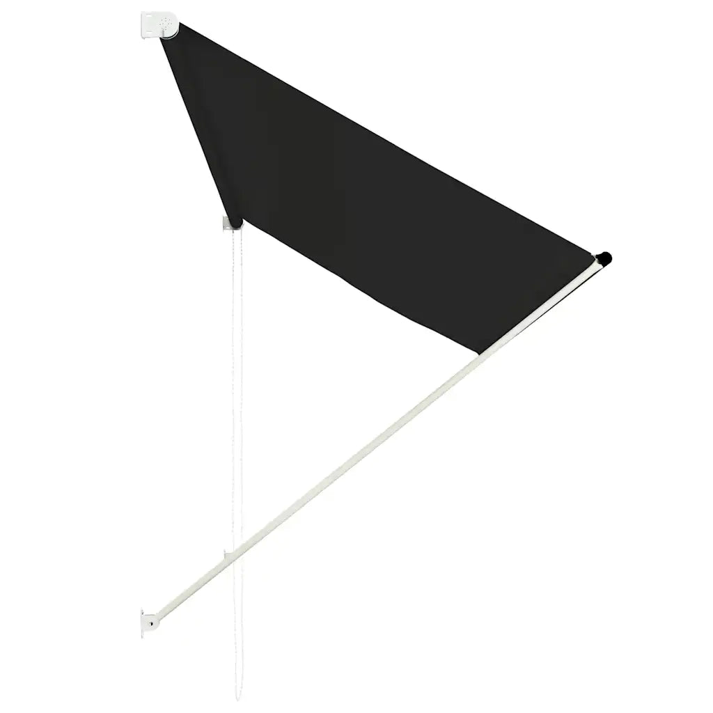 Tenda da Sole Retrattile-Tenda parasole per Patio 250x150 cm Antracite