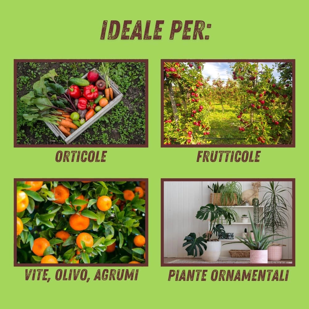 POLVERE DI ROCCIA CAOLINO VITHAL BIO  kg.1    VITHAL