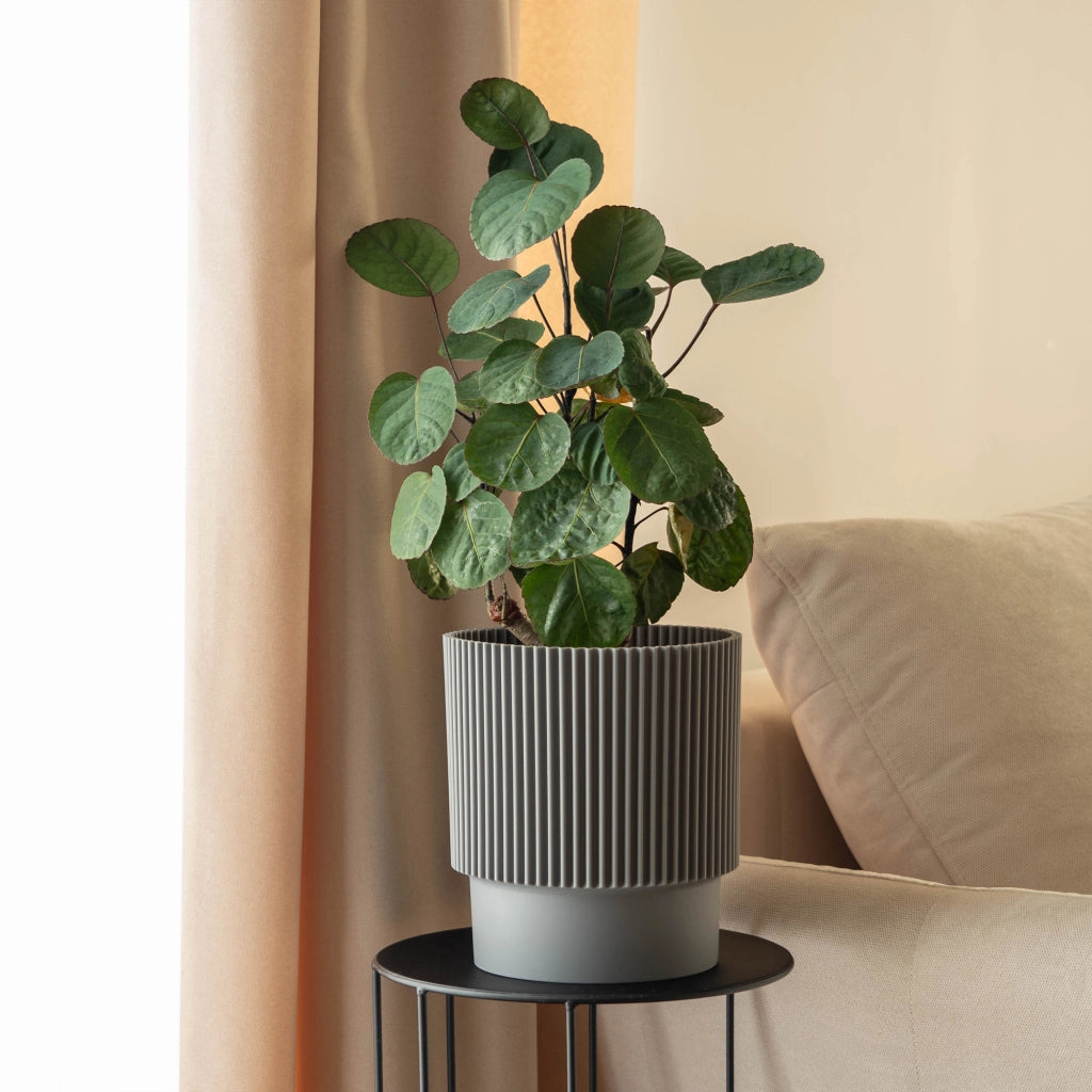 Vaso da fiori KADAX 13 cm, copertura per piante, vaso da fiori in plastica grigia