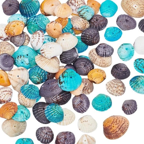 Decorazioni con Sint-Jakobsschelp Naturale - 85 Pezzi -  - Sierificazione - Orecchini/Collane - Decorazione - Attività Artigianali DIY