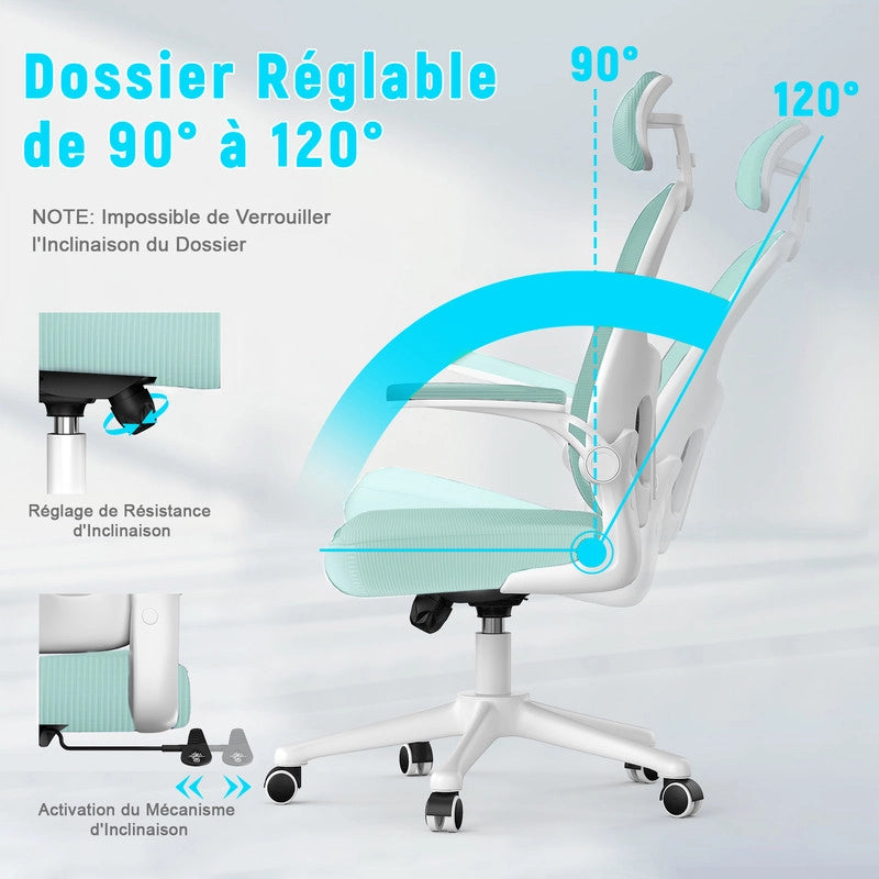 Sedia da ufficio - HAMLODY Poltrona ergonomica con braccioli 2D, altezza poggiatesta supporto lombare schienale regolabile verde