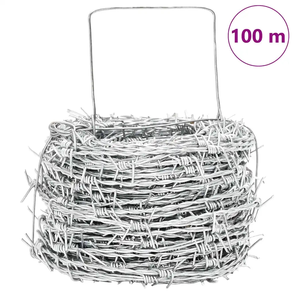 Fil di Ferro Spinato Argento 100 m Acciaio Zincato a Caldo 42010305