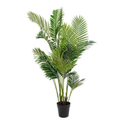 Pianta Artificiale Areca, Verde, Polietilene, 64x64x175 cm