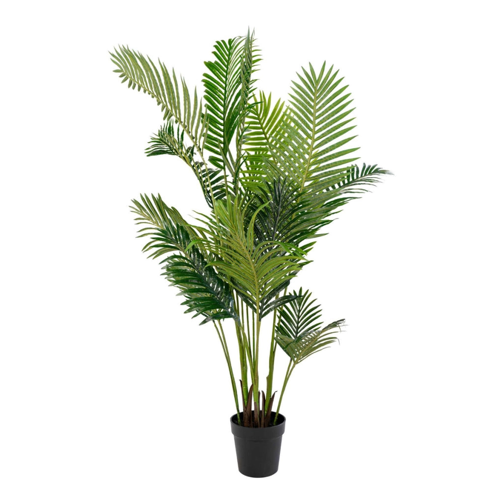 Pianta Artificiale Areca, Verde, Polietilene, 64x64x175 cm
