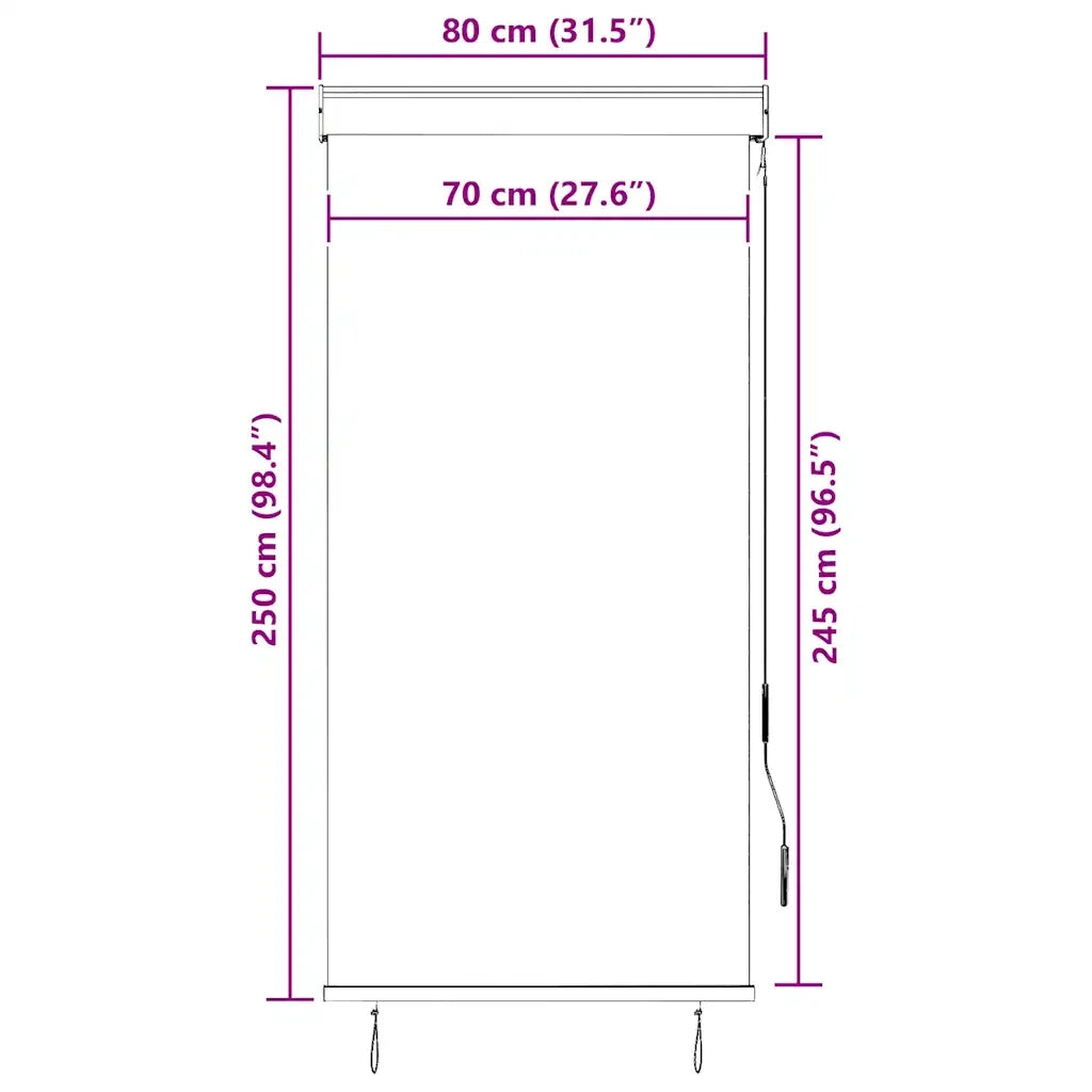 Tenda a rullo | Tenda avvolgibile per Esterni 80x250 cm Antracite