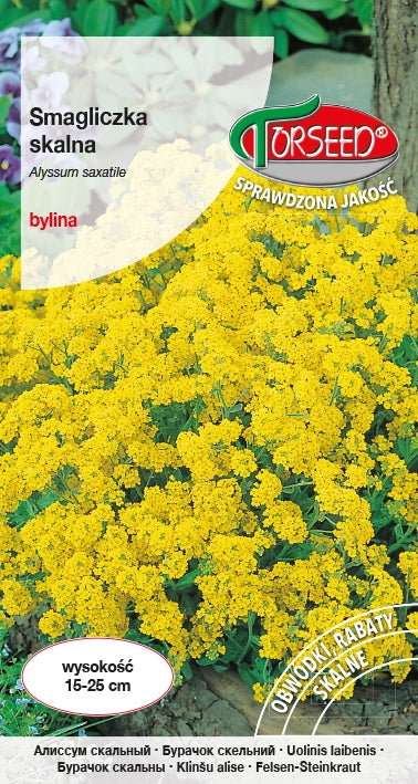 Cenere di roccia - Alyssum saxatile giallo 0,5 g