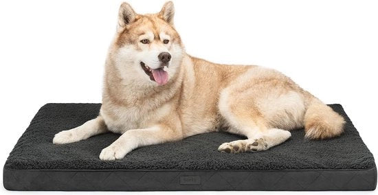 Letto per Cani - 112 x 81 x 8 cm - Placca Robusta e Soffice - Coperte Rimovibili e Lavabili - Impermeabile - Adatto per Piccoli e Grandi Cani e Gatti - Nero