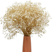 Fiori secchi di Gypsophila bianchi - Decorazione naturale per casa e matrimoni