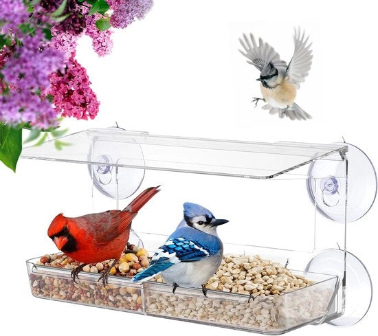 Vassoio per Uccelli Vispisti 26 x 14 x 5 cm - Nutrimento per Uccelli Selvatici all'Aperto - Regalo Unico