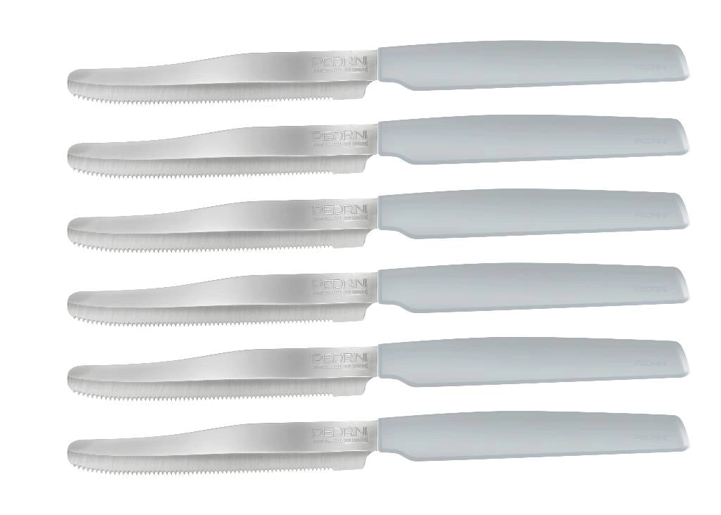 Set 6 Coltelli da Tavola Cucina Active Lama Seghettata Azzurro Polvere
