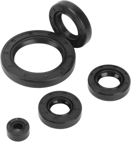 Set di guarnizioni per olio 5 pezzi per motociclette ATV Go Kart Quad Pit Crossmotor da 125cc a 250cc