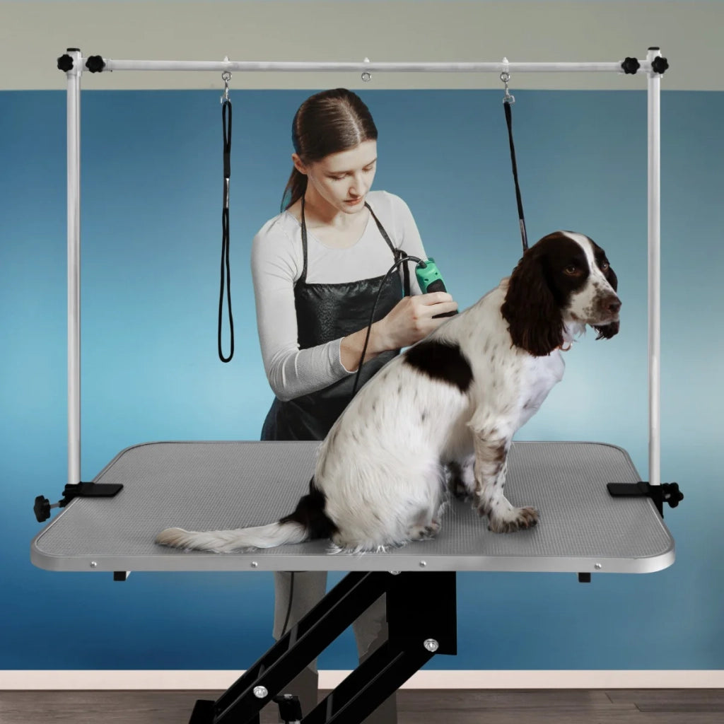 Tavolo da toelettatura idraulico per cani ad altezza regolabile professionale grande Grigio