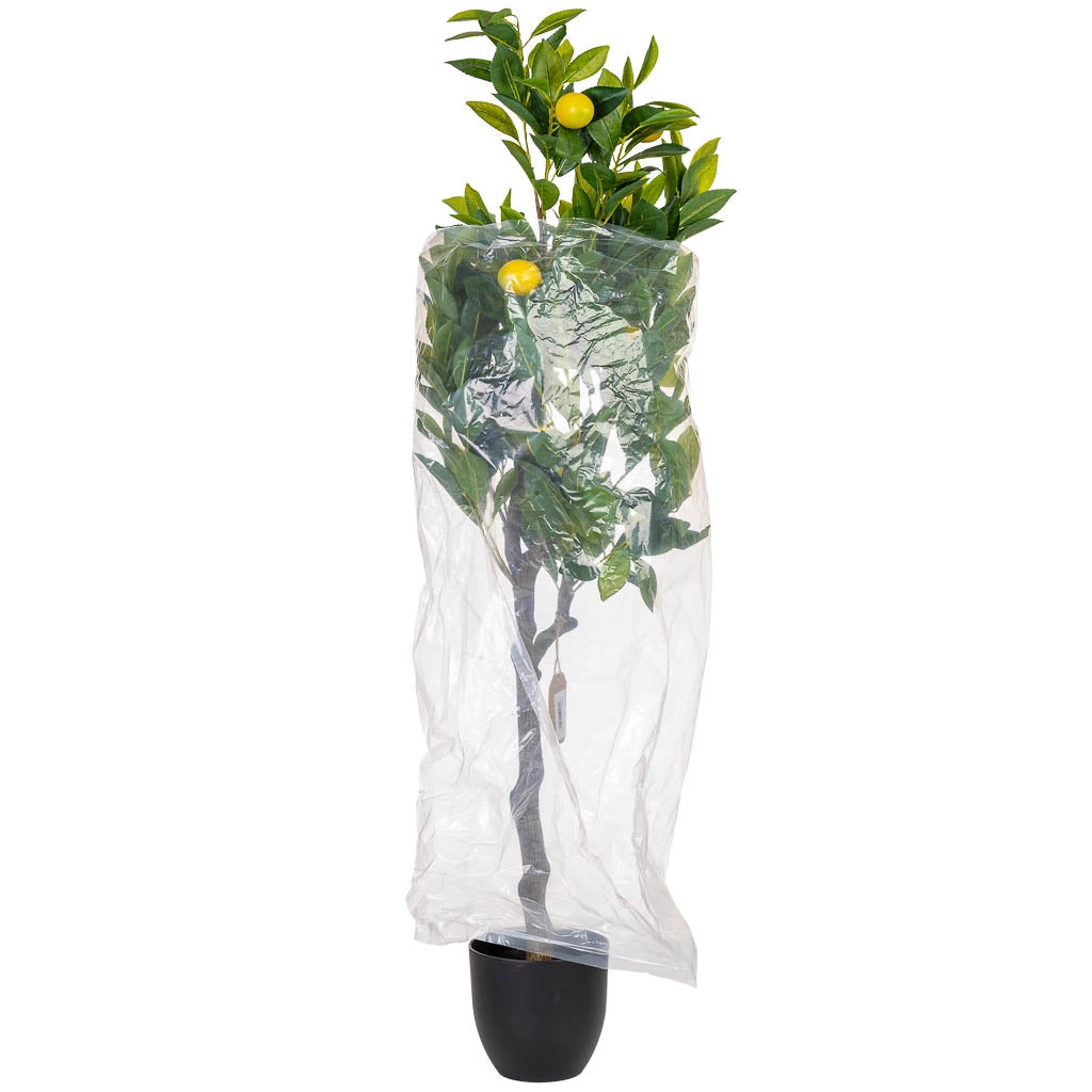 Albero di limone artificiale decorativo verde 55x55x120cm