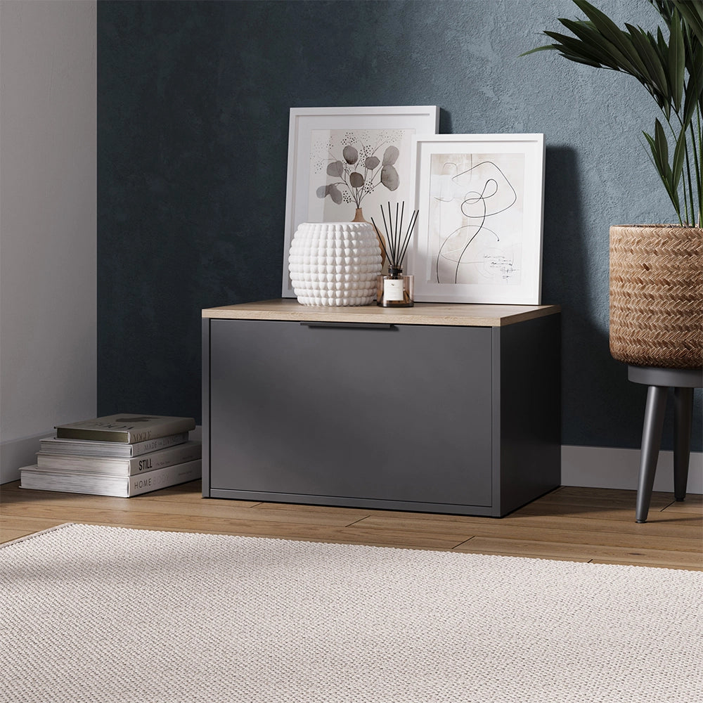 Vicco Credenza Antracite/Sonoma 60 x 36 cm con porte