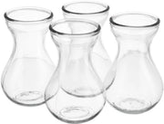 Set di Vasi in Vetro da 4 pezzi - Translucido - Vaso di Giacinto - Vaso per Piante - Vaso Decorativo - Vetro di Alta Qualità - 14x8 cm - Vaso per Fiori