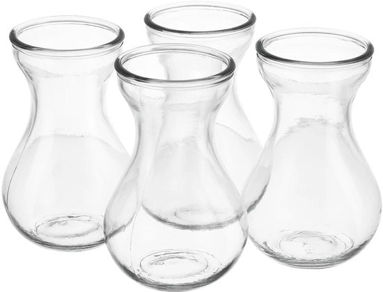 Set di Vasi in Vetro da 4 pezzi - Translucido - Vaso di Giacinto - Vaso per Piante - Vaso Decorativo - Vetro di Alta Qualità - 14x8 cm - Vaso per Fiori