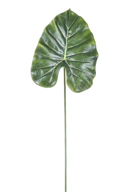 Set 12 Foglia Artificiali di Pothos H 66 cm