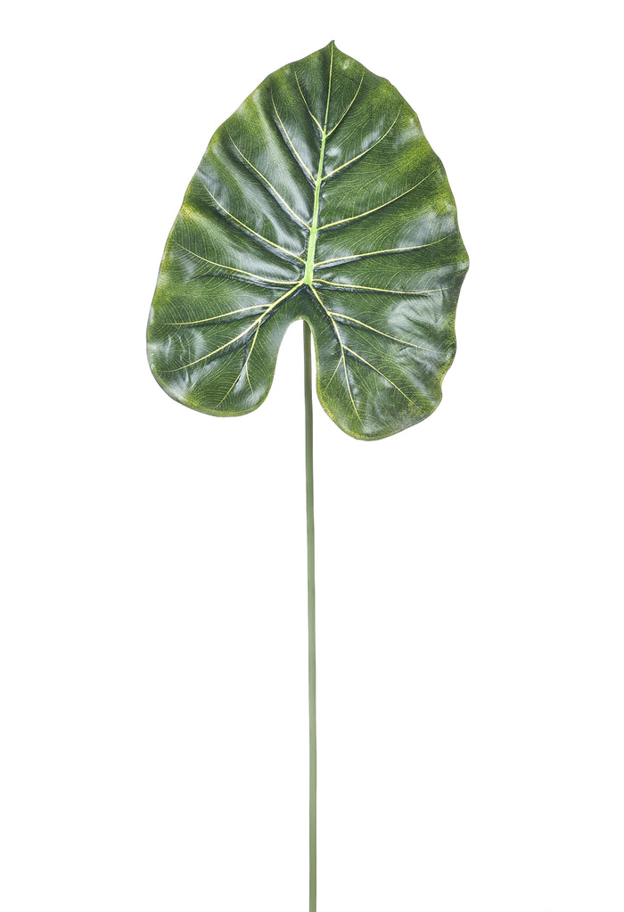 Set 12 Foglia Artificiali di Pothos H 66 cm