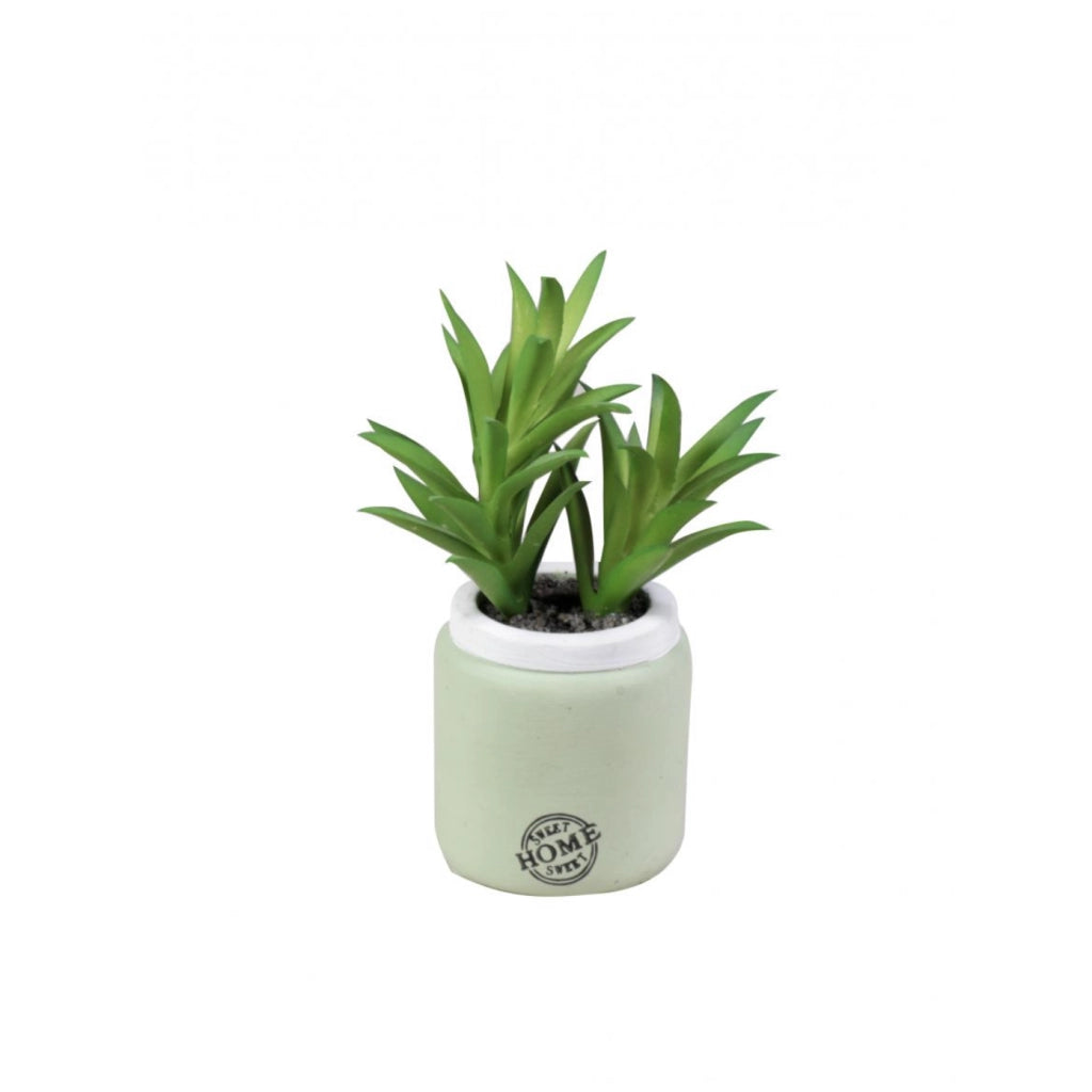 VASO CON PIANTA GRASSA D.8XH13CM IN CERAMICA VERDE