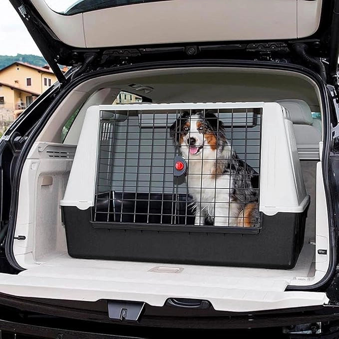 TRASPORTINO 'ATLAS CAR' 'mod.100' - cm 100 x 60 x h 66 (portata max 40 kg)  - FERPLAST