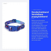 Halsband per Cani - Verstabile - Adatto per Piccoli/Mediali/Grandi Cani - Chiusura Rapida - Cinturino Soffice - Dimensione S/M/L