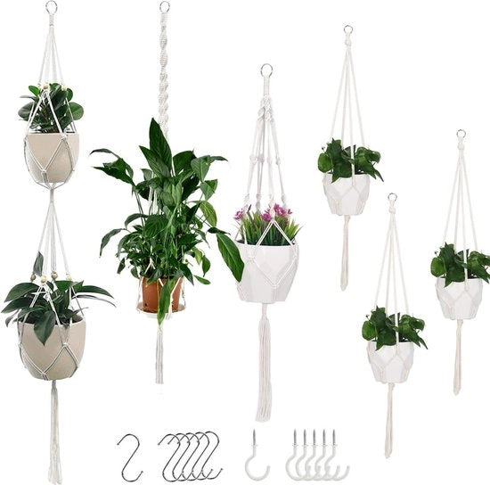 Set di pendenti per piante da 6 - corda di cotone - pendenti da soffitto - vasi decorativi per fiori - decorazione interna ed esterna