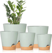 Pannelli di coltivazione autoirriganti con drenaggio - 5 misure per piante da appartamento, cactaceae e fiori