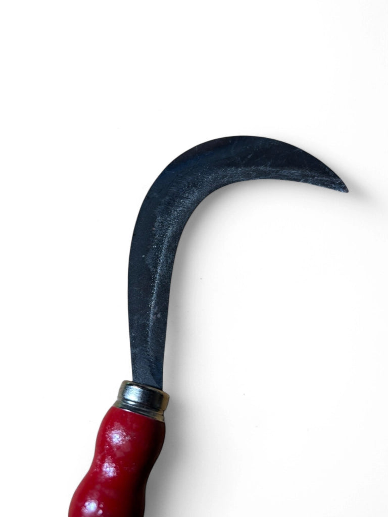 Roncolina 12 cm, in acciaio temprato, made in Italy, manico rosso, professionale