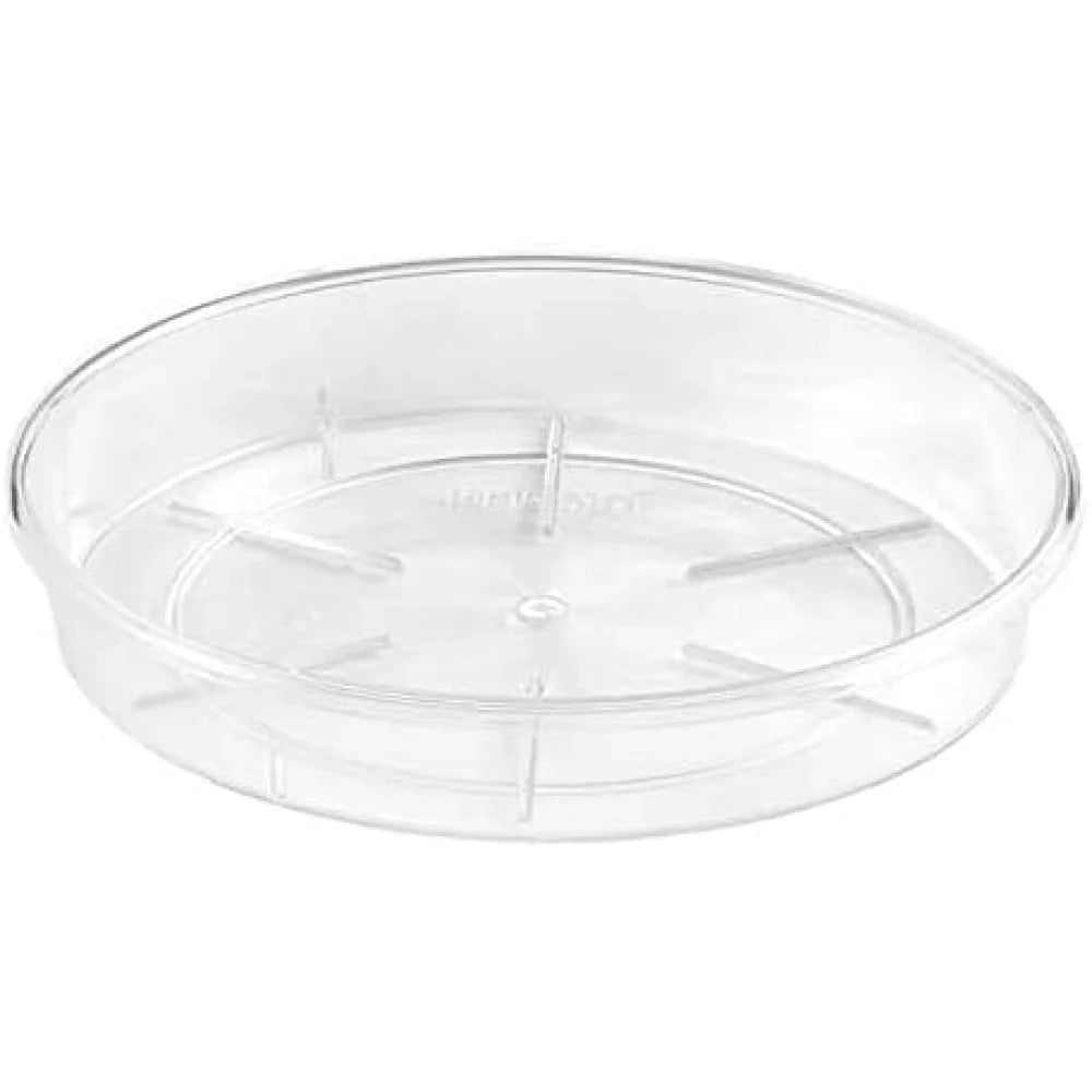 Teraplast clear plato 32 clear plato 32 clear
