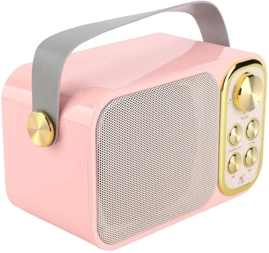 Impianto Karaoke Portatile con Bluetooth 5.0 - 3000 mAh - 6 Effetti di Suono - Multifunzionale e Portatile