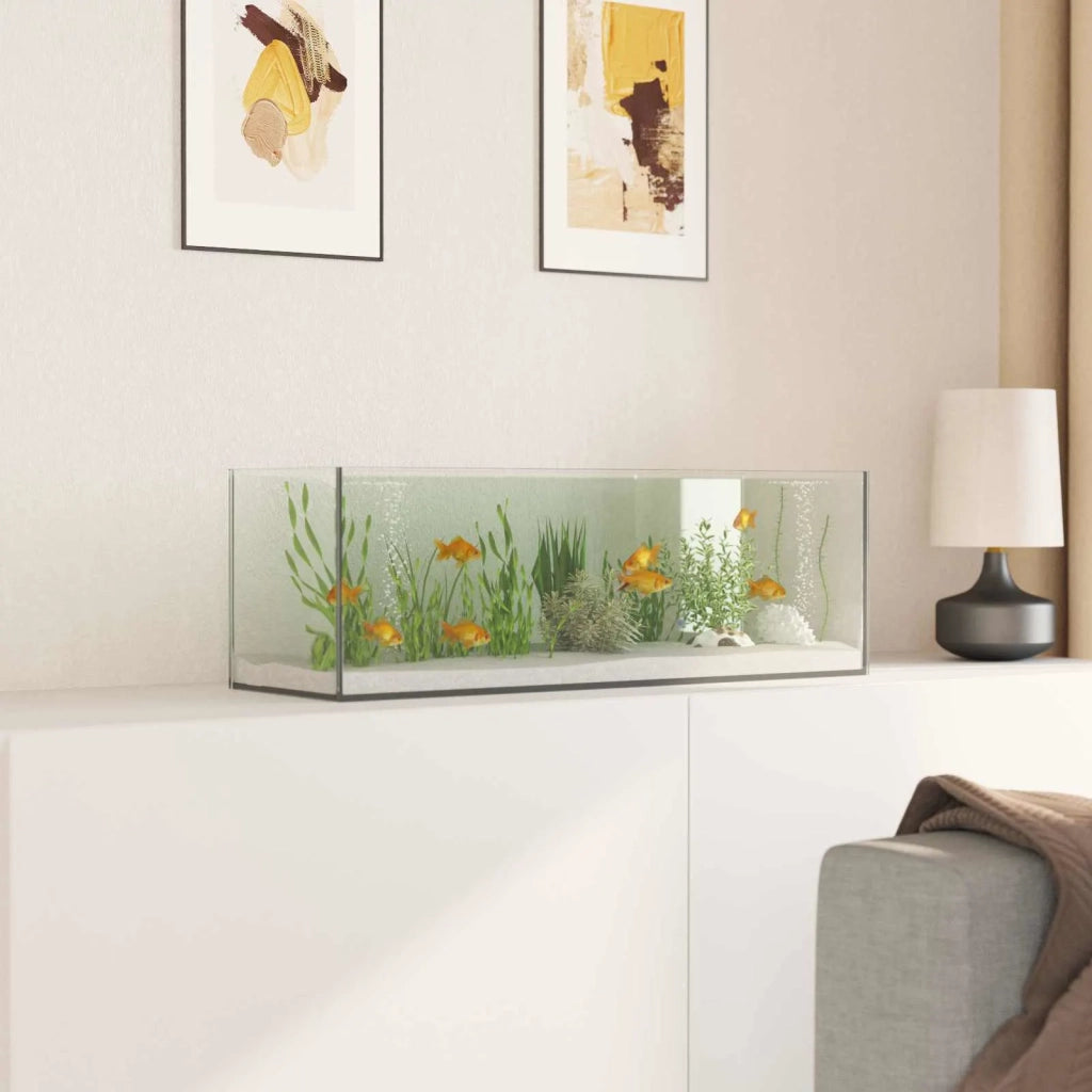 Acquario con archiviazione Trasparente 60 x 20 x 20 cm Vetro 42020383