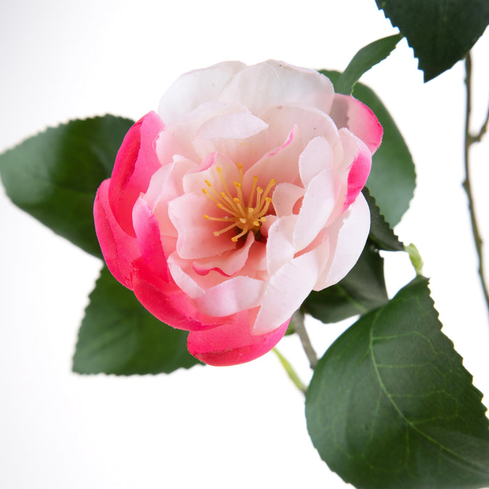 Set 2 Rami Artificiali Camelia Branch per 4 68 cm