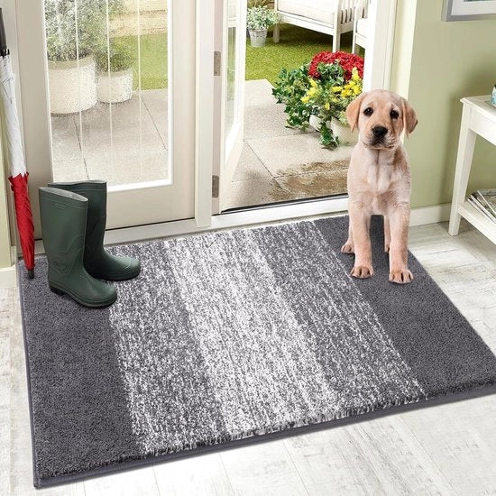 Matte per porta interna, Matte per porta esterna, Matte per raccolta spazzatura, Matte antiscivolo per porta, Matte assorbente per porta, Matte per porta d'ingresso, Matte per porta di entrata, Tappeto (Grigio, 80 x 120 cm)