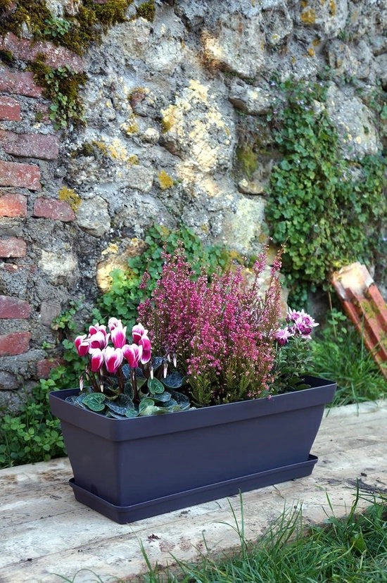 Piatto per piante in antracite - Decorazione poetica per giardino