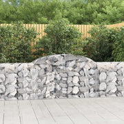 Cesti Gabbioni ad Arco 6 pz 300x30x80/100 cm Ferro Zincato 3146507